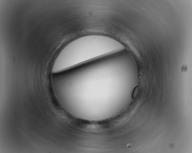 X0000103150212200808221136