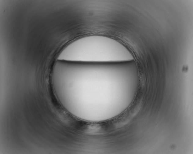 X0000103150214200808221136