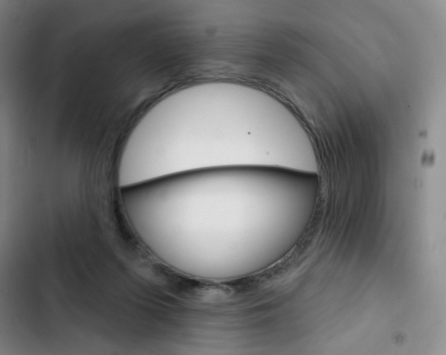 X0000103150215200808221136