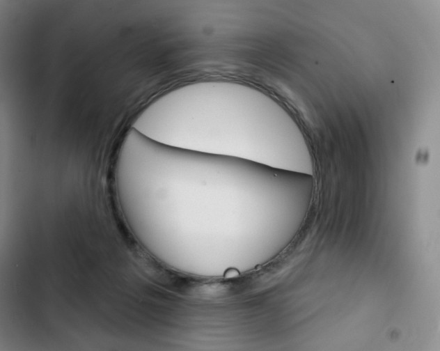 X0000103150217200808221136