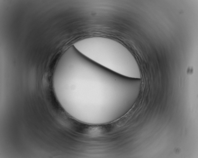 X0000103150218200808221136
