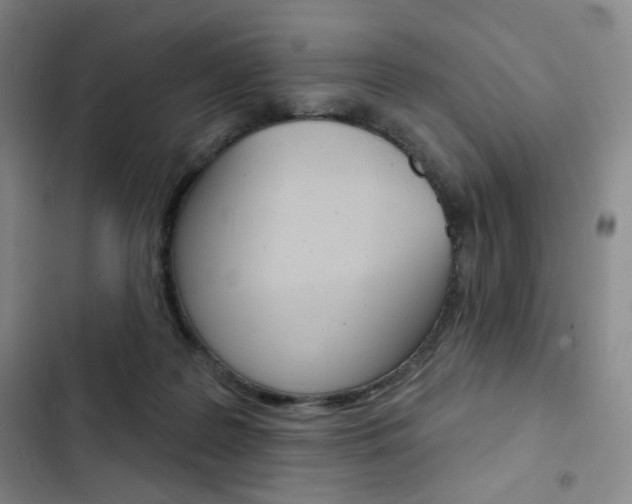 X0000103150219200808221136