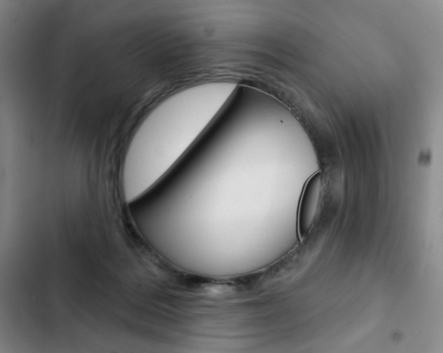 X0000103150220200808221136