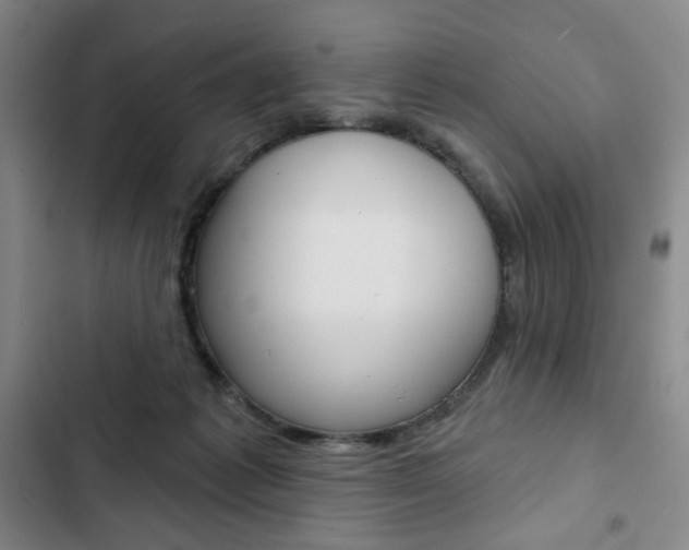 X0000103150221200808221136