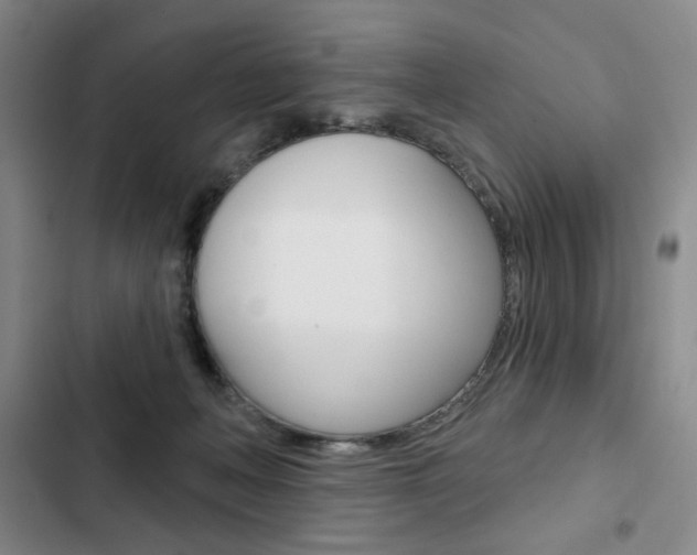 X0000103150222200808221136