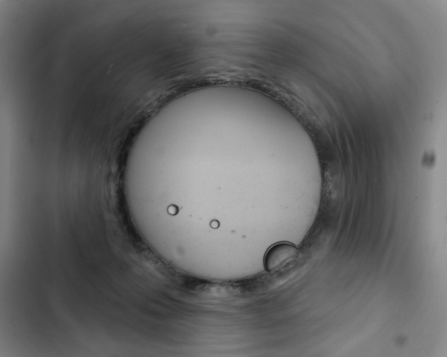 X0000103150223200808221136