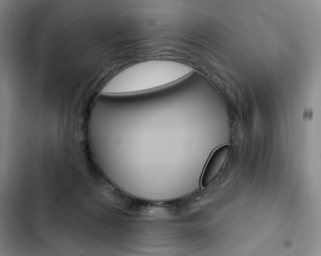X0000103150224200808221136