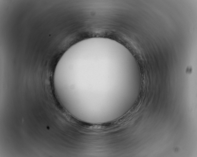 X0000103150225200808221136