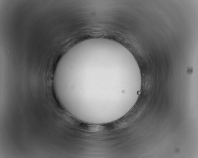 X0000103150226200808221136