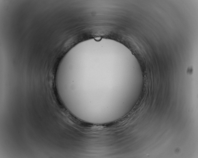 X0000103150227200808221136