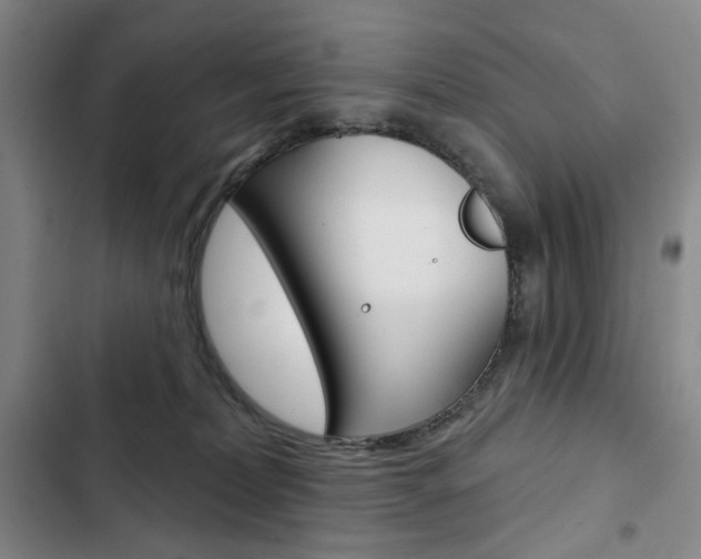 X0000103150228200808221136