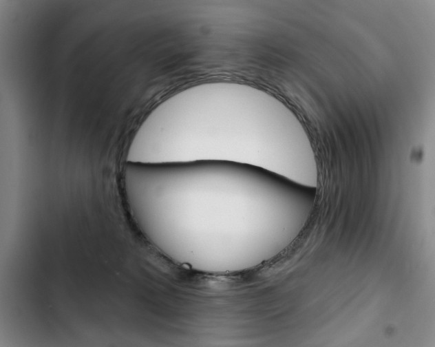 X0000103150229200808221136