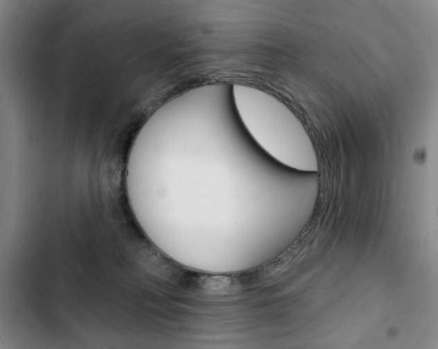 X0000103150230200808221136