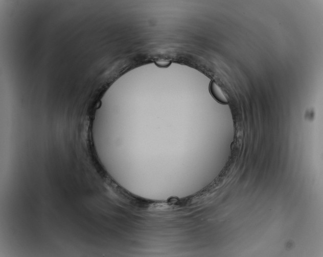 X0000103150231200808221136