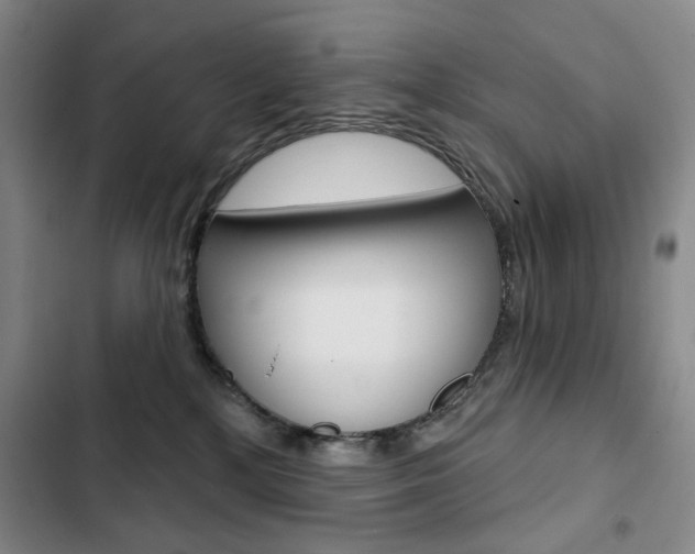X0000103150232200808221136