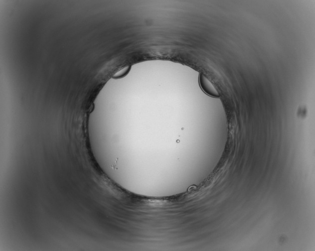 X0000103150233200808221136