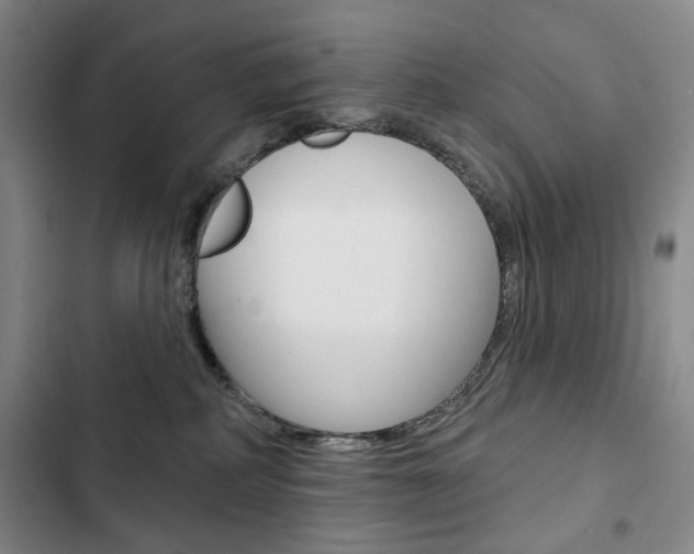 X0000103150234200808221136