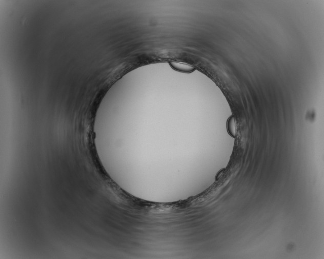 X0000103150235200808221136
