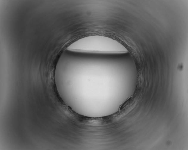 X0000103150236200808221136
