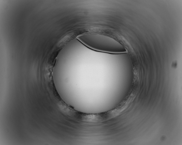 X0000103150237200808221136