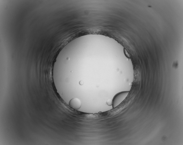 X0000103150238200808221136