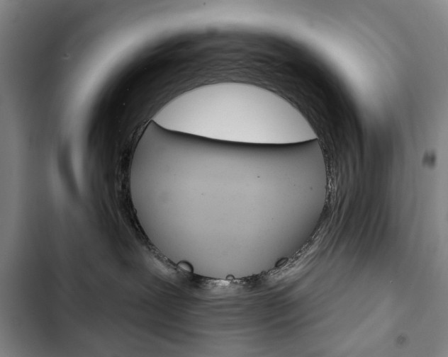 X0000103150239200808221136