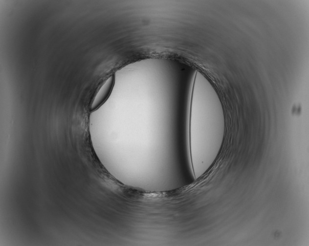 X0000103150240200808221135