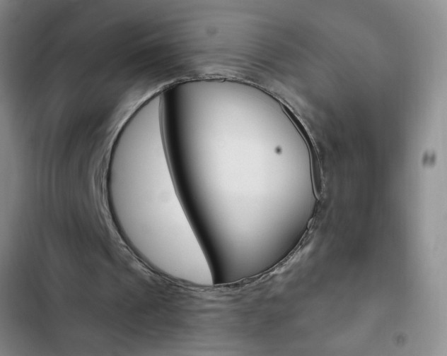 X0000103150241200808221135