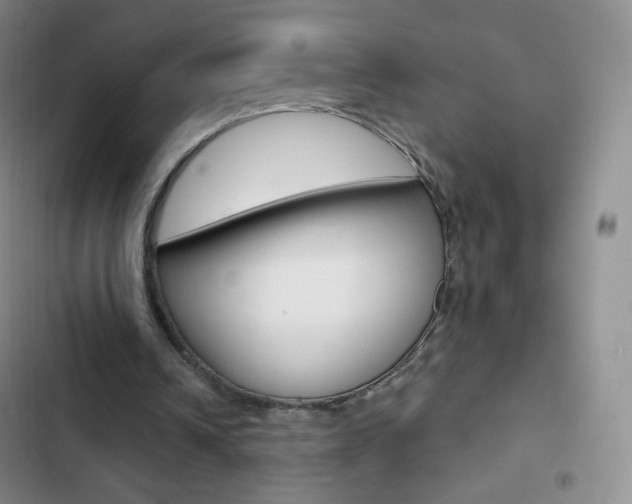 X0000103150242200808221135