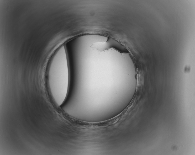X0000103150243200808221135