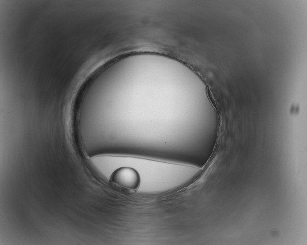 X0000103150247200808221135
