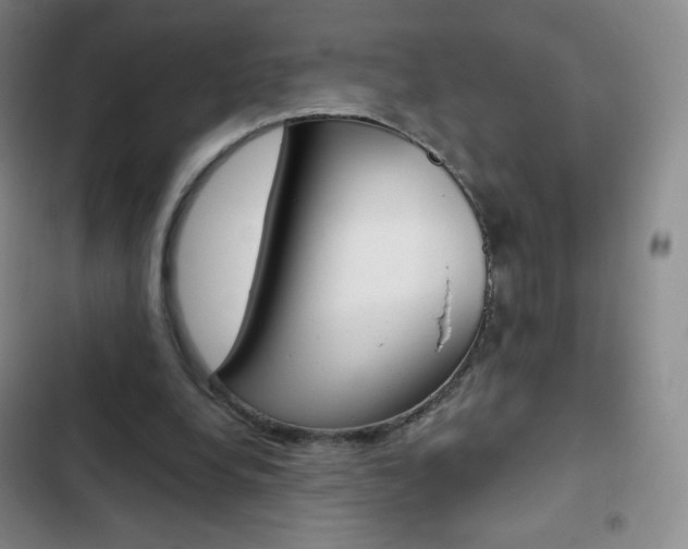 X0000103150248200808221135