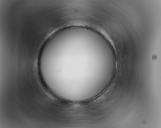 X0000103150249200808221135