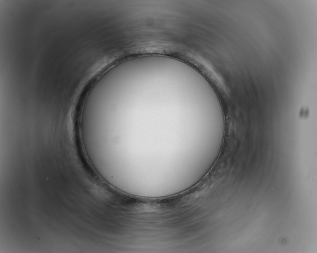 X0000103150250200808221135