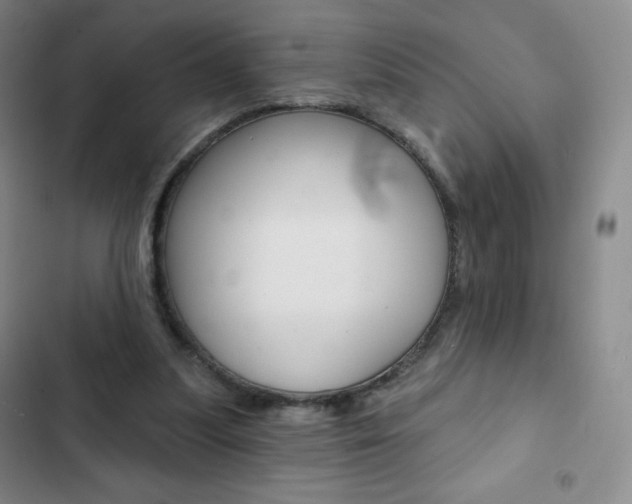 X0000103150251200808221135