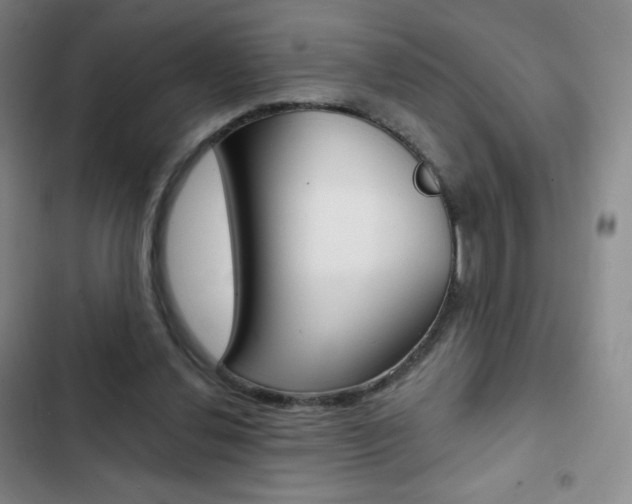 X0000103150252200808221135