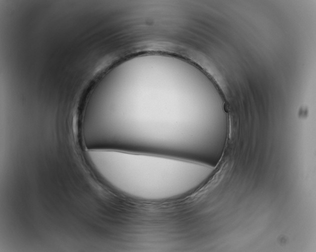 X0000103150253200808221135