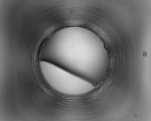 X0000103150254200808221135