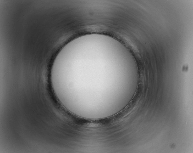 X0000103150255200808221135