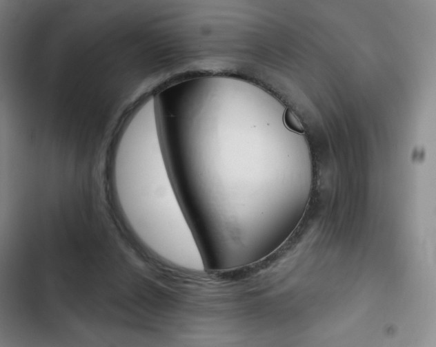 X0000103150256200808221135