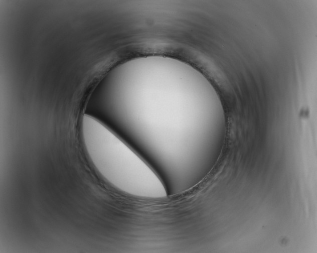 X0000103150258200808221135