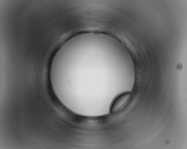 X0000103150260200808221135