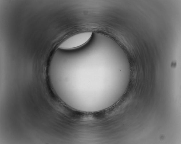 X0000103150262200808221135
