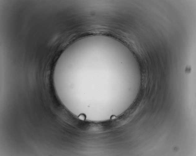 X0000103150263200808221135
