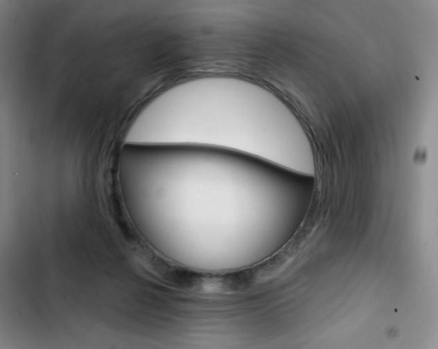 X0000103150264200808221135