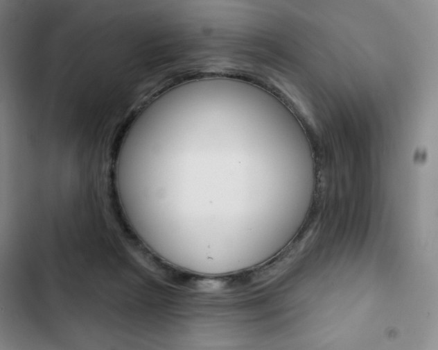 X0000103150265200808221135