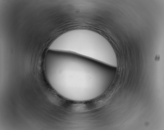 X0000103150266200808221135