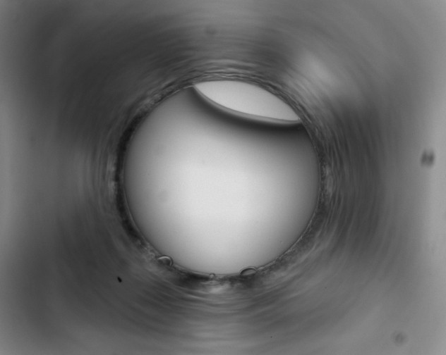 X0000103150267200808221135
