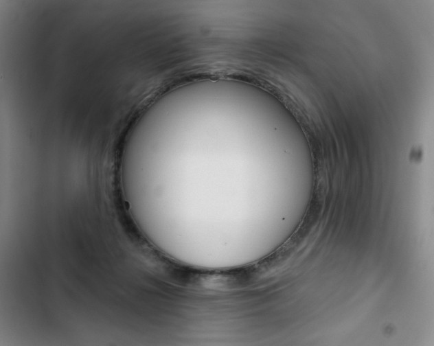 X0000103150268200808221135