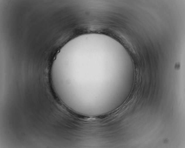 X0000103150269200808221135